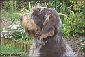 MayaHeadSide1yr10-07-09