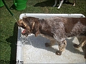 MayaHose04-07-09