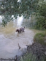 MayaSwim05-07-09_1