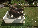 MayaTiaPool04-07-09