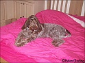 MayaBedComfy28-01-09