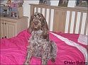 MayaBedSit28-01-09