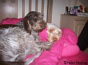 Cosy26-01-10