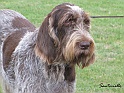 MayaEELKS01-08-10_1