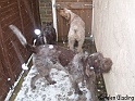 WalkiesGate06-01-10