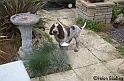 MayaInGarden16-09-08