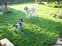 MayaPlaying14-09-08