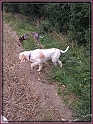 20130921_123751