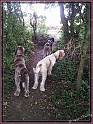 20130927_131030