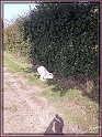 20130930_131607