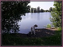 N-08-07-13_2