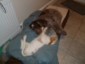 MayNoraBed25-04-11