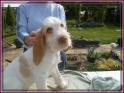 Nora9wks29-04-11