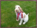 NoraBP13-08-11