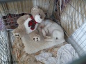 NoraBed17-04-11