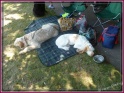 NoraBentley26-06-11