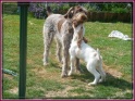 NoraBite06-05-11