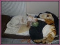 NoraBroccoli20-06-11