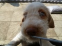 NoraCamera20-04-11