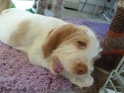 NoraChew17-04-11