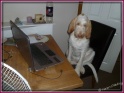 NoraComputer11-08-11
