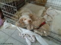 NoraCrate17-04-11