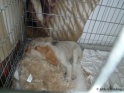 NoraCute17-04-11