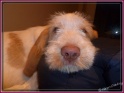 NoraCute26-05-11