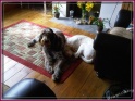 NoraDebs23-07-11