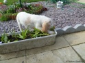 NoraDigging17-04-11