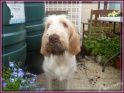 NoraDirty06-08-11