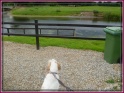 NoraDucks23-07-11