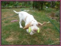 NoraFetch30-05-11