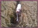 NoraFields25-07-11
