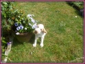 NoraFlowers06-05-11