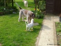 NoraFriends17-04-11
