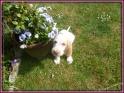 NoraGarden06-05-11