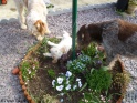 NoraGarden17-04-11