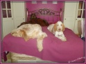 NoraGirlsBed06-07-11