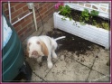 NoraGuilty23-06-11
