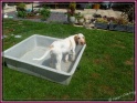 NoraInPool27-06-11
