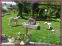 NoraMad27-06-11