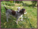 NoraMay06-05-11