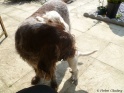 NoraMay20-04-11