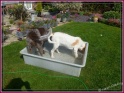 NoraMayPool01-08-11