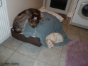 NoraMayaSleep17-04-11