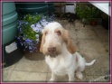 NoraMud06-08-11