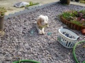 NoraPeg17-04-11