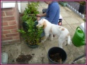 NoraPlanting30-05-11