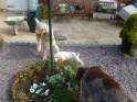 NoraPlay17-04-11